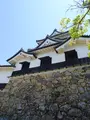 彦根城の写真_820732