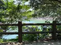形原温泉あじさいの里の写真_820938
