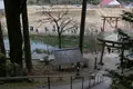 根道神社の写真_82105