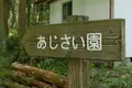 根道神社の写真_82106