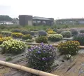 盛岡市高松地区保健センターの写真_82123