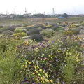 盛岡市高松地区保健センターの写真_82124