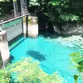 ユーシン渓谷の写真_82243