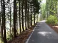 青木湖の写真_82326