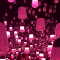 チームラボ バイオヴォルテックス 京都の写真_824425