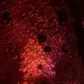 チームラボ バイオヴォルテックス 京都の写真_824426