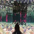チームラボ バイオヴォルテックス 京都の写真_824429