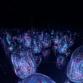 チームラボ バイオヴォルテックス 京都の写真_824430