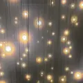 チームラボ バイオヴォルテックス 京都の写真_824432