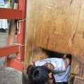 東大寺の写真_824452