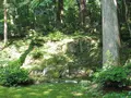 平泉寺白山神社の写真_82511