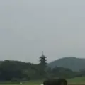 備中国分寺の写真_82543