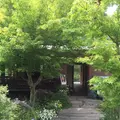 水辺のカフェ 三宅商店 酒津の写真_82544