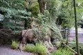 來宮神社の写真_82656