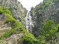 白山白川郷ホワイトロードの写真_82657