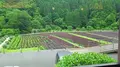 土井志ば漬本舗の写真_82686