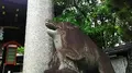 護王神社の写真_82729