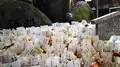 護王神社の写真_82732