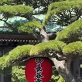 長谷寺の写真_827382