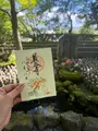 長谷寺の写真_827386