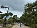 智恩寺の写真_827513