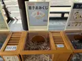 智恩寺の写真_827515