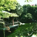 蚕糸の森公園の写真_82770