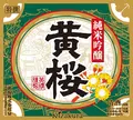 キザクラカッパカントリーの写真_82920