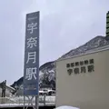やまびこ展望台の写真_829922