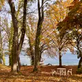 十和田湖の写真_830328