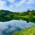 鴫ノ谷地沼の写真_831188