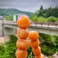山交バス 蔵王温泉バスターミナルの写真_831205