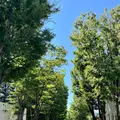 マンズワイン小諸ワイナリーの写真_831237