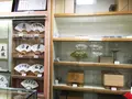 将棋会館の写真_83126