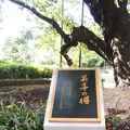県立神奈川近代文学館の写真_83152