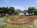 大佛次郎記念館の写真_83187