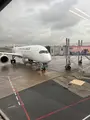 新石垣空港（南ぬ島石垣空港）の写真_832665