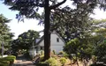 山手公園の写真_83268