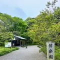 偕楽園の写真_832968