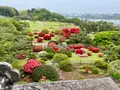 偕楽園の写真_832972