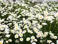 新栄の丘 展望公園の写真_83381