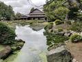 金平成園（澤成園）の写真_834627