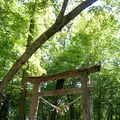 和琴温泉の写真_83466