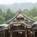 彌彦神社の写真_834810