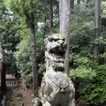 彌彦神社の写真_834813