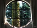 大佛次郎記念館の写真_83497
