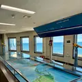 納沙布岬の写真_836609
