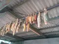 横田農場の写真_83670
