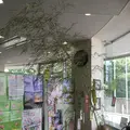 埼玉県立小川げんきプラザの写真_83673