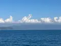 徳島港フェリーのりば（和歌山港ゆき）の写真_837257